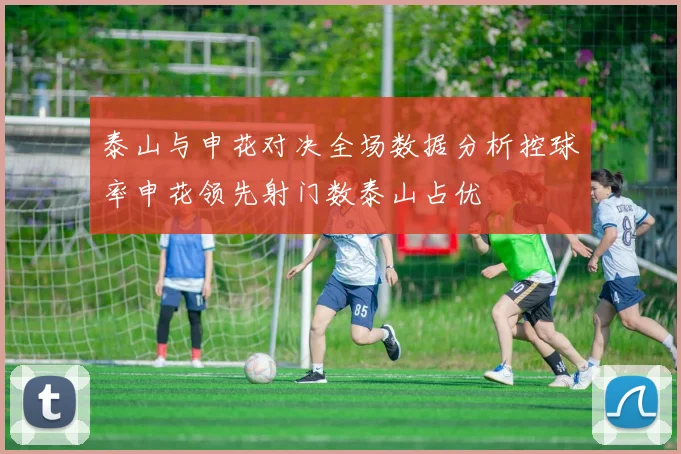 泰山与申花对决全场数据分析控球率申花领先射门数泰山占优