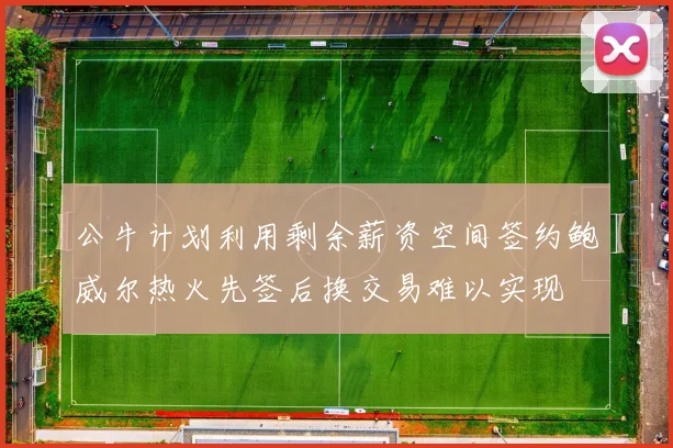 公牛计划利用剩余薪资空间签约鲍威尔热火先签后换交易难以实现