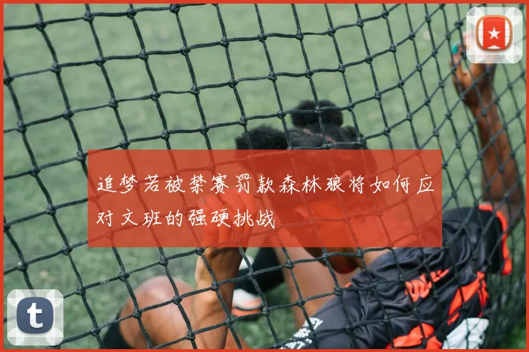 追梦若被禁赛罚款森林狼将如何应对文班的强硬挑战